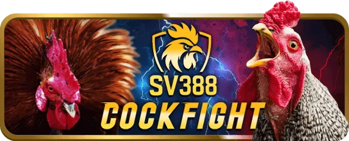 Hỗ Trợ Khách Hàng Kubet19 Casino