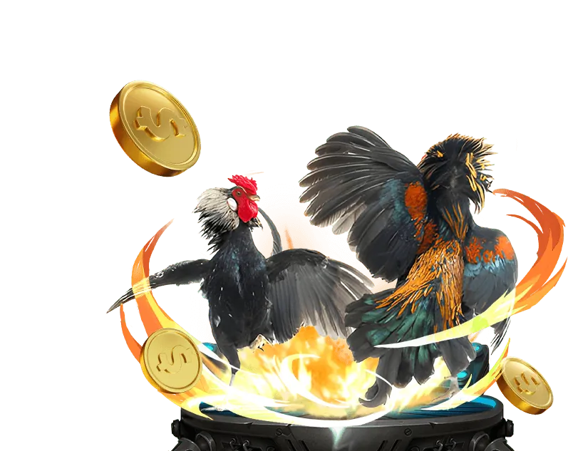 Bắn cá và Đá gà Kubet19 Casino